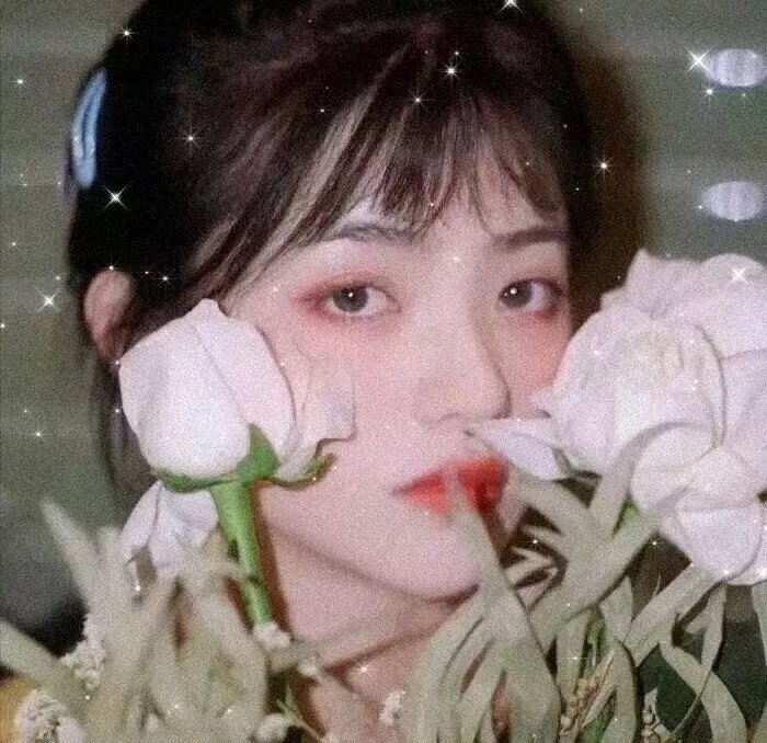 蝙蝠女侠第一季